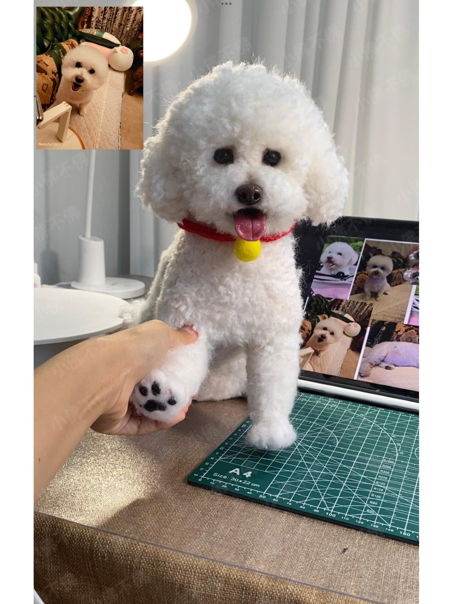 Handmade customized pet wool felt